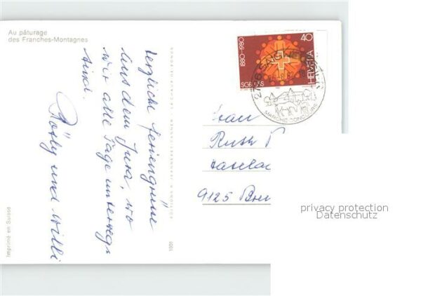 Pferde Au paturage Franches-Montagnes – Bild 2