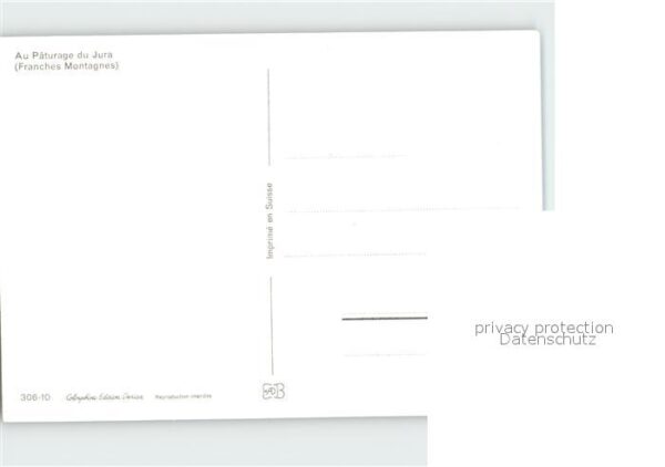 Pferde Paturage du Jura – Bild 2