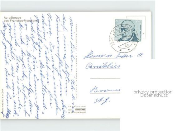 Pferde Paturage Franches-Montagnes – Bild 2