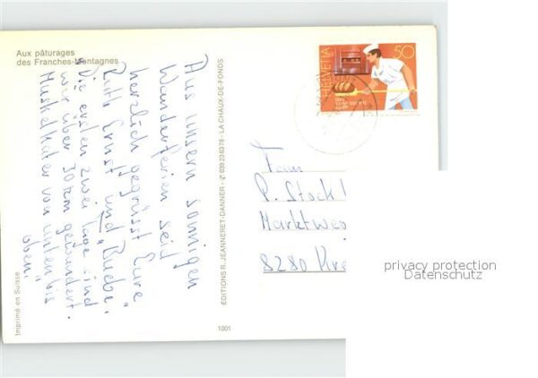 Pferde Paturage Franches-Montagnes – Bild 2