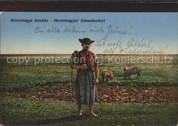 Hortobagy Schweinehirt
