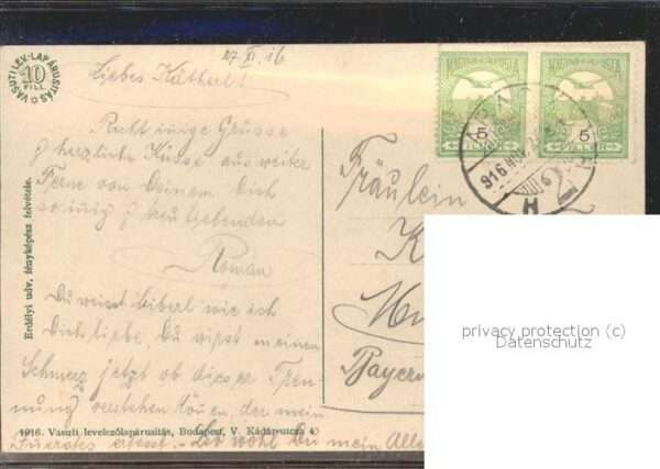 Hortobagy Schweinehirt – Bild 2
