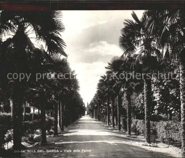 Riva del Garda Viale delle Palme