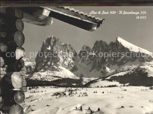 Sassolungo Langkofel Panorama mit Alpen