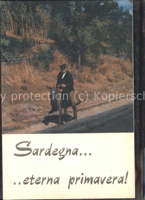 Sardinien Italien Mann auf Esel Visione di Sardegna