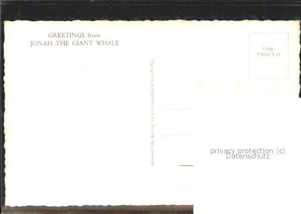 Berufe Jonah Giant Whale Fischer – Bild 2