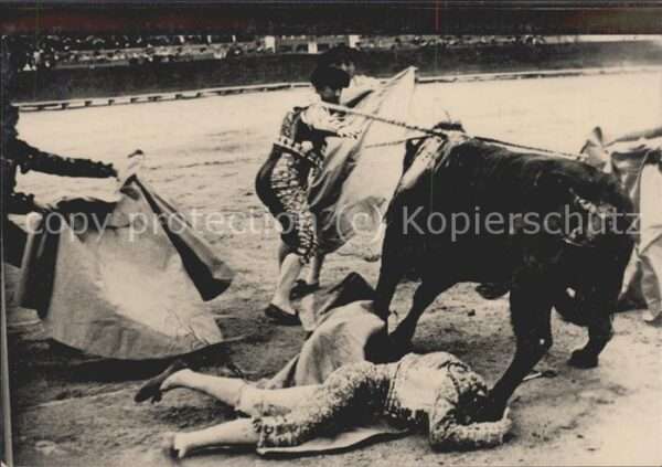Stierkampf Torero Stier
