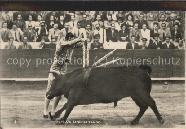 Stierkampf Stier Spanien