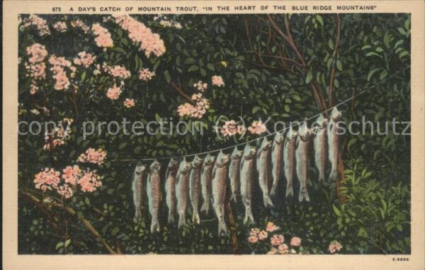 Fischerei Blue Ridge Mountains Fische Leine