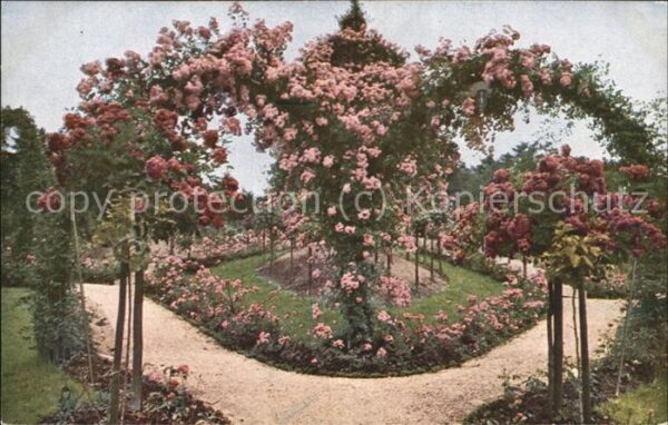 Rosen Garten Spalier Herz