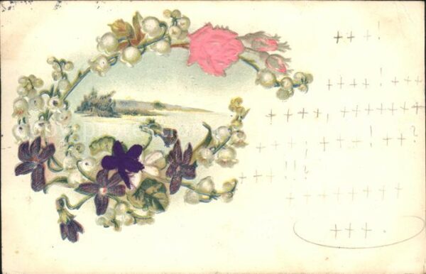 Rosen Blumen