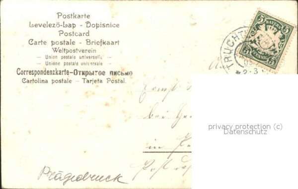 Rosen Poesie – Bild 2