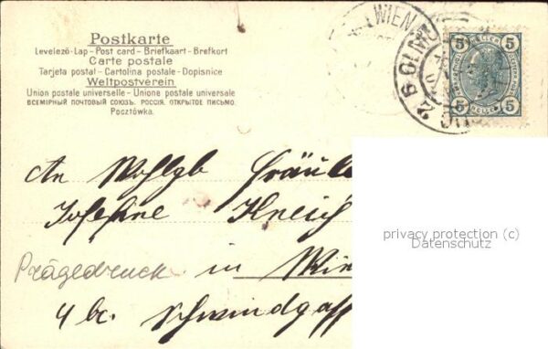 Brieftaube Carrier Pigeon voyageur Brieftauben – Bild 2