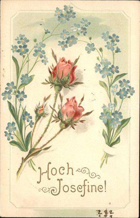 Rose Hoch Josefine