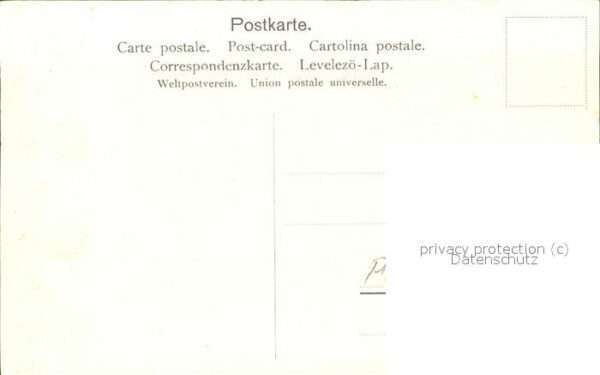 Blumen – Bild 2