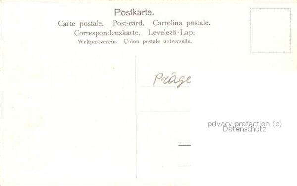 Blumen – Bild 2
