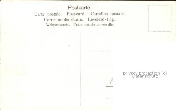 Blumen – Bild 2