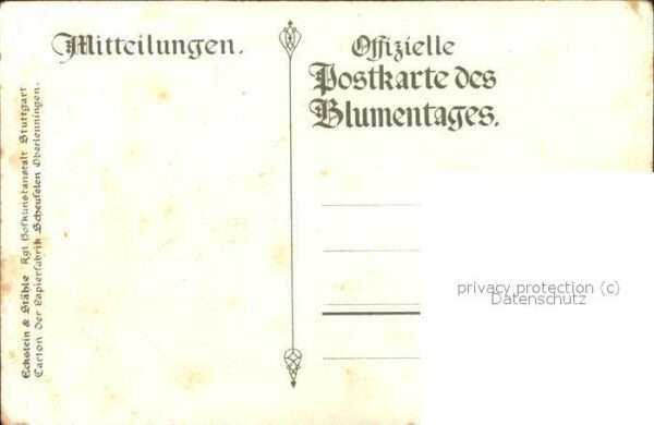 Adel Wuerttemberg silberne Hochzeit Königspaar Krone Wapp – Bild 2