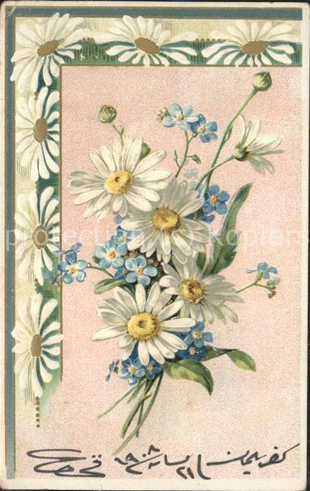 Blumen Margeriten Strauss