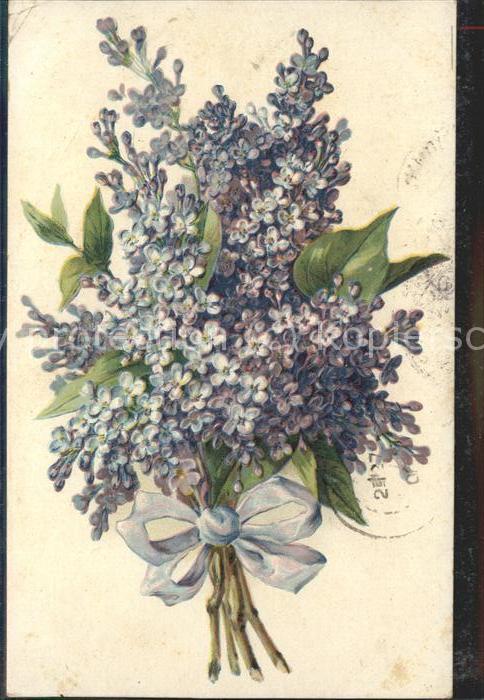 Blumen Flieder Strauss