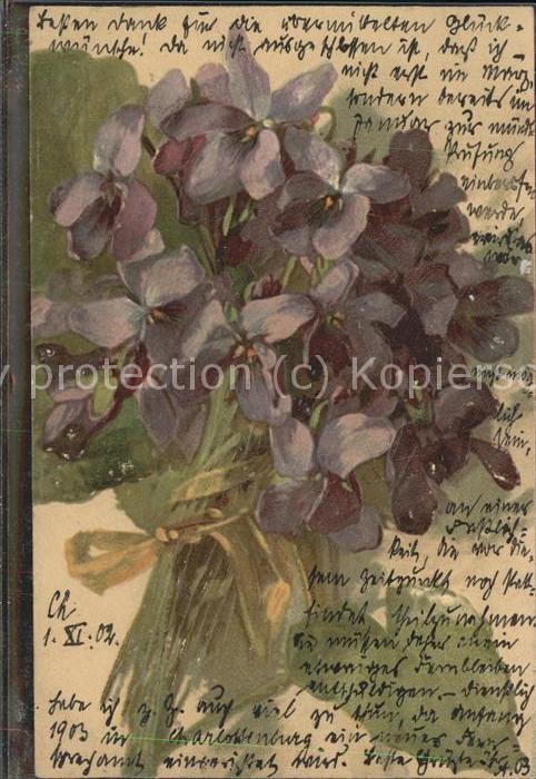 Blumen Veilchen Strauss