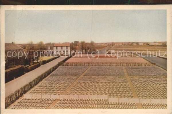 Landwirtschaft Hyacinthenvelden Amsterdam
