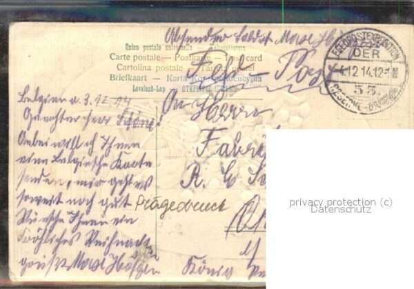Maigloeckchen Frankreich – Bild 2