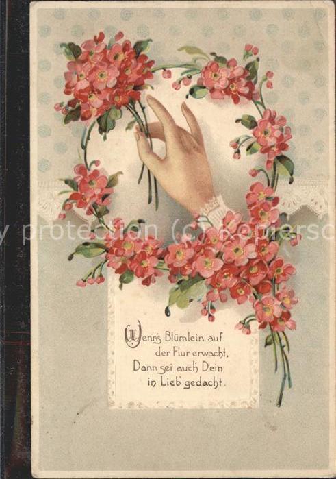 Poesie Blumen Spruch