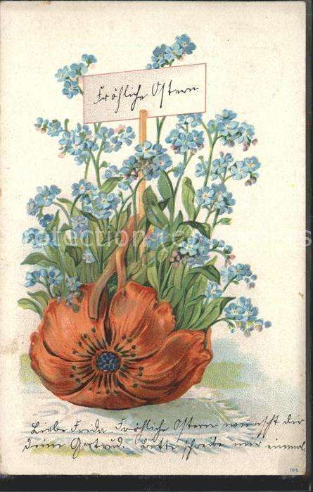 Blumen Mohnblume