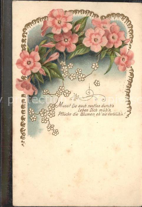 Blumen Spruch