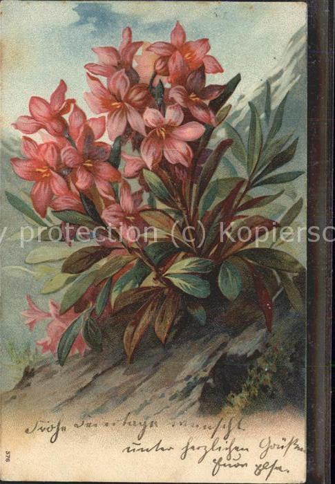 Blumen Künstlerkarte