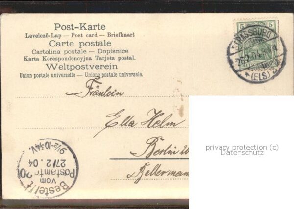 Rosen Korb – Bild 2