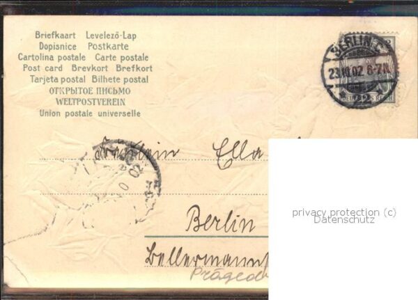 Rosen Zeichnung – Bild 2