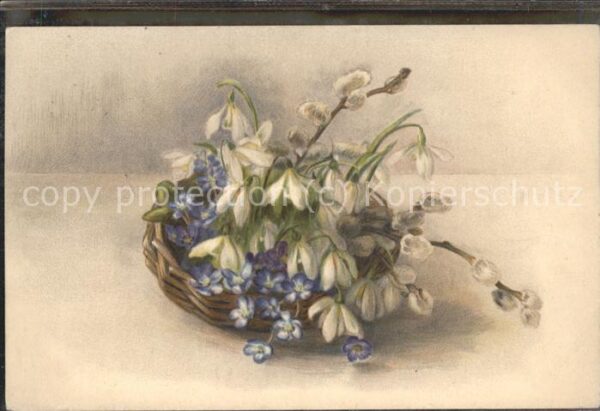 Blumen Schneeglöckchen