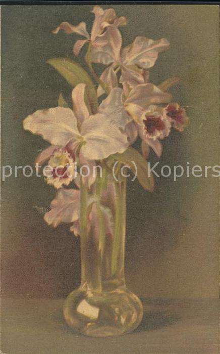 Blumen Vase Wenau