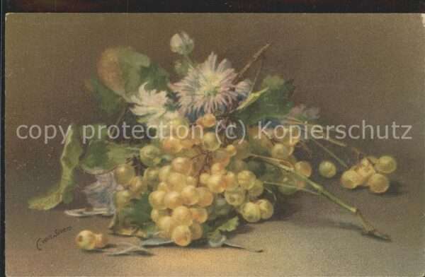 Kuenstlerkarte C. von Sivers Blumen Weintrauben