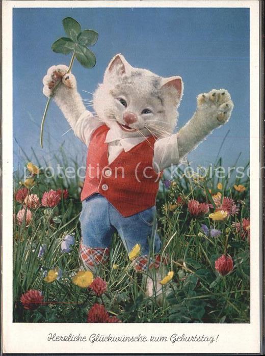 Katzen vermenschlicht Kleeblatt Geburtstag