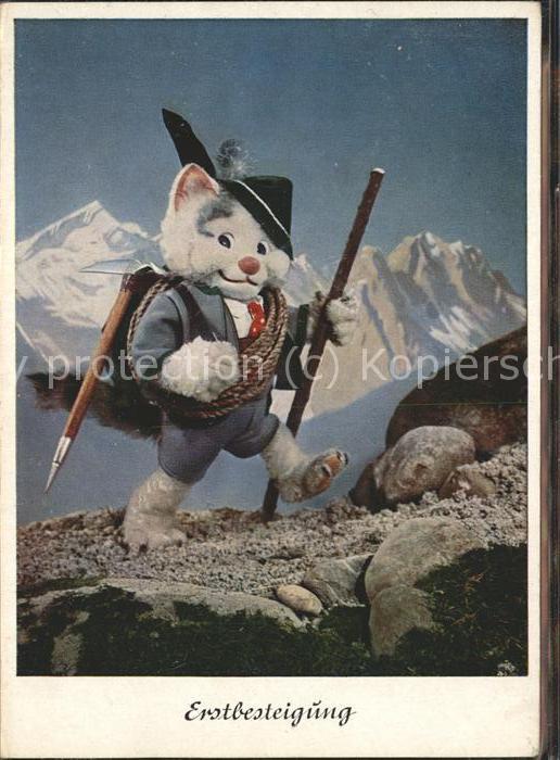 Katzen vermenschlicht Eispickel Bergsteiger