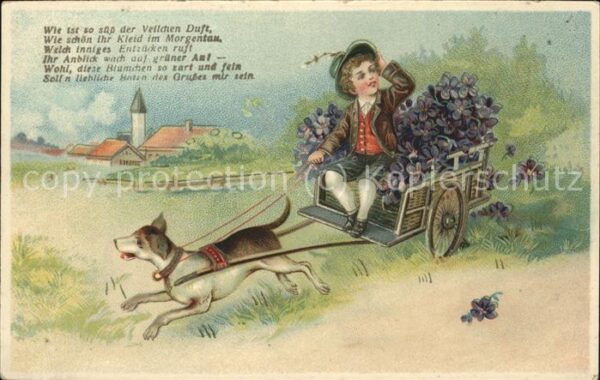 Blumen Hund Kind Spruch