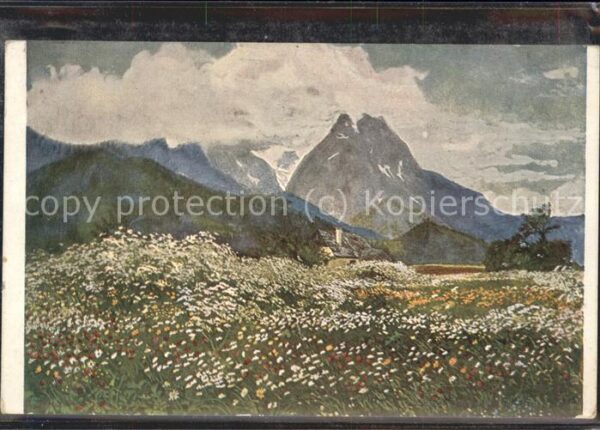 Kuenstlerkarte Karl Reiser Frühsommerpracht