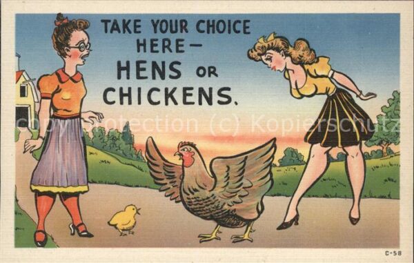 Humor Hahn Frauen Streit