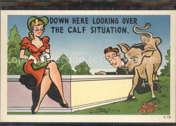 Humor Kalb Calf Situation