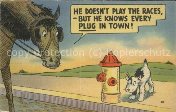 Humor Pferd Hund
