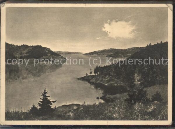 Kuenstlerkarte Willy Kriegel Friedlicher Wald