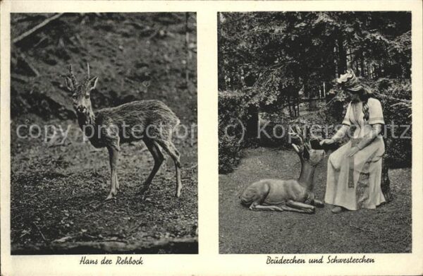 Reh Brüderchen Schwesterchen