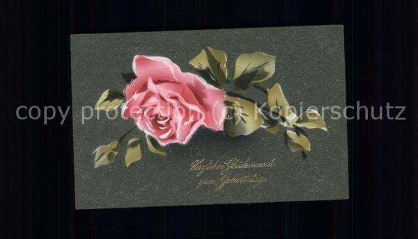 Rose Geburtstag