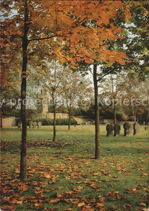Baeume Trees Deutscher Sodatenfriedhof Sandweiler/Lu