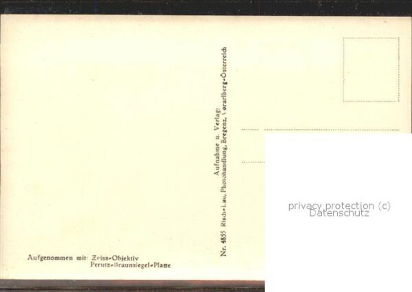 Gemse Gemsennest Gamskogels – Bild 2