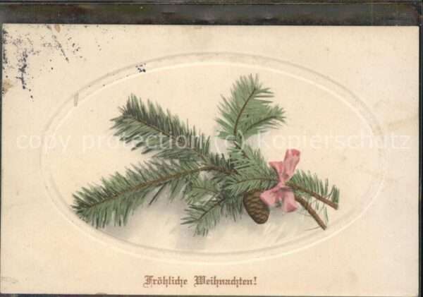 Weihnachten Tannenzweig Zapfen