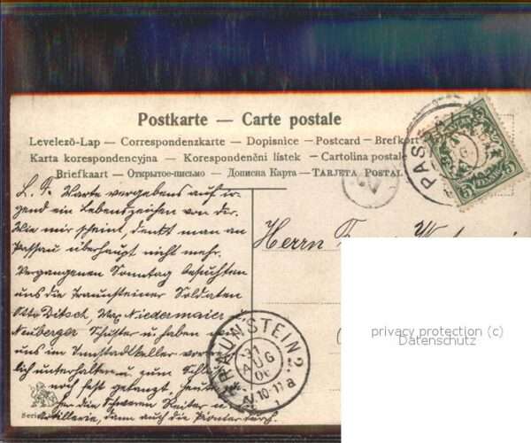 Rosen Telegramm – Bild 2